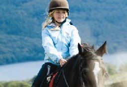Horse Rider